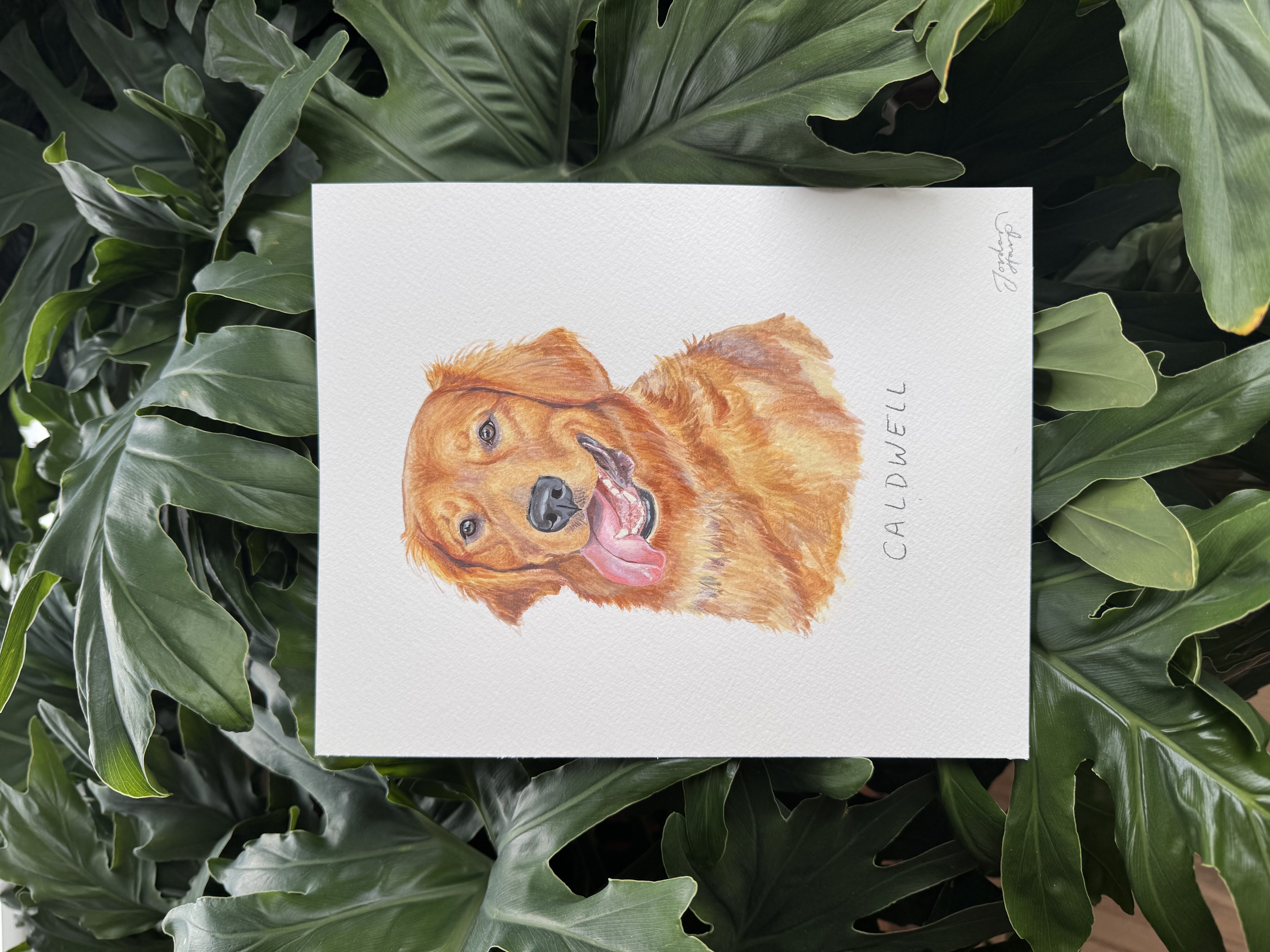 Featured artwork by Jordan Harp