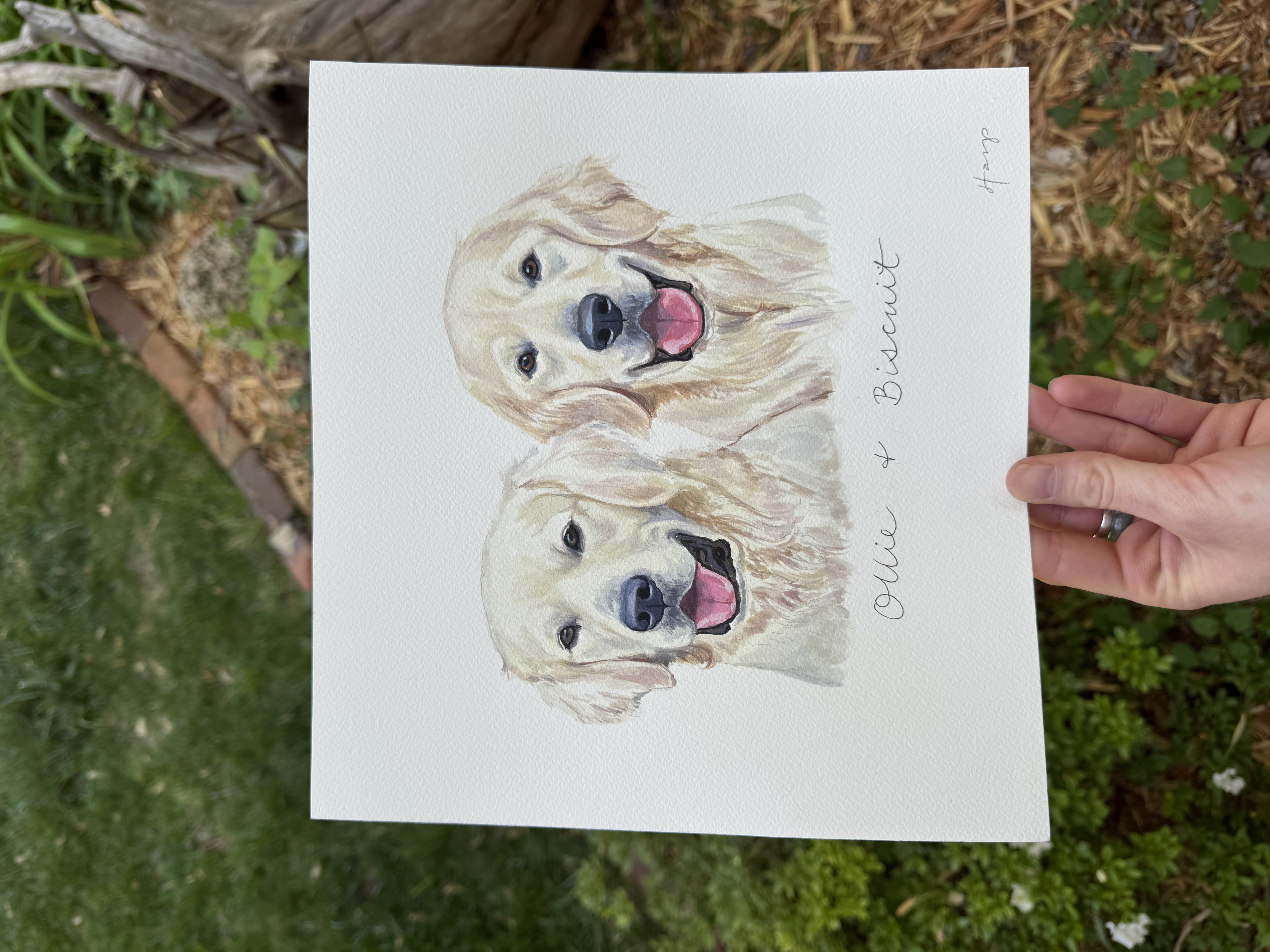 Portrait artwork placeholder